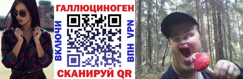 наркошоп  Курган  Галлюциногенные грибы Psilocybine cubensis 