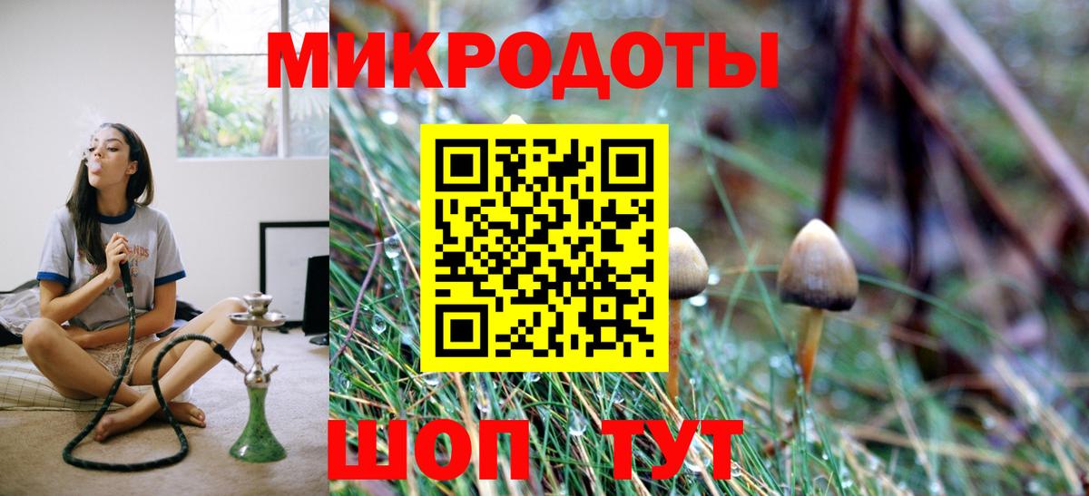 Курган  Псилоцибиновые грибы прущие грибы  Вход с VPN  где продают наркотики  Галлюциногенные грибы Magic Shrooms 